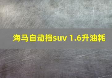 海马自动挡suv 1.6升油耗